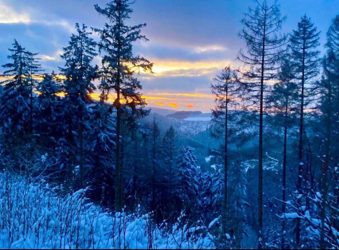 Landhotel Flora & Fauna (Adults Only) Winterberg Extérieur photo