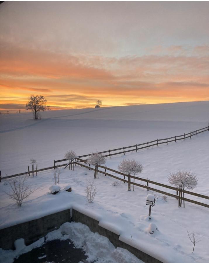 Landhotel Flora & Fauna (Adults Only) Winterberg Extérieur photo