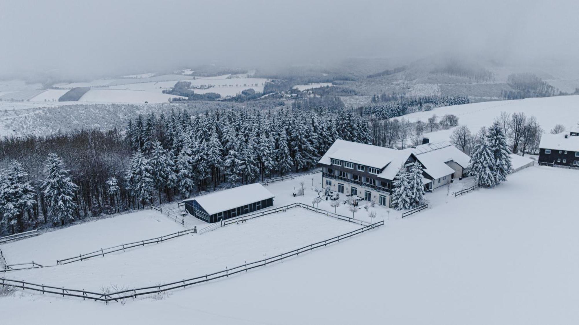 Landhotel Flora & Fauna (Adults Only) Winterberg Extérieur photo