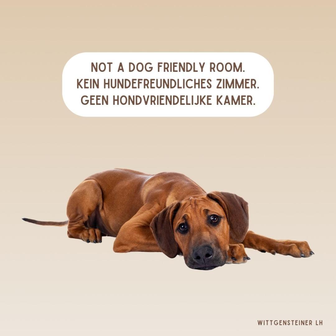 Landhotel Flora & Fauna (Adults Only) Winterberg Chambre photo